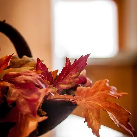 Apartment Colonia Rural Bellmunt de Ciurana